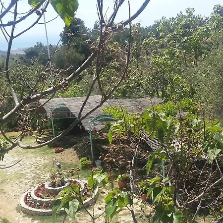 Kaz Daglari Albatross Dag Evleri 古雷