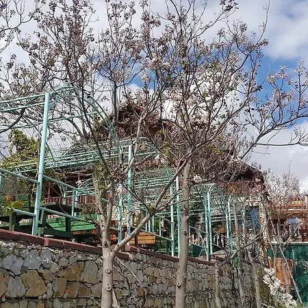 公寓式酒店 Kaz Daglari Albatross Dag Evleri 古雷