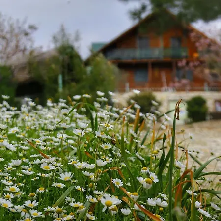 Kaz Daglari Albatross Dag Evleri 公寓式酒店 *