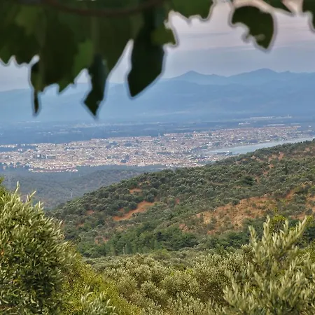 Kaz Daglari Albatross Dag Evleri 古雷