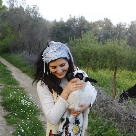 Kaz Daglari Albatross Dag Evleri