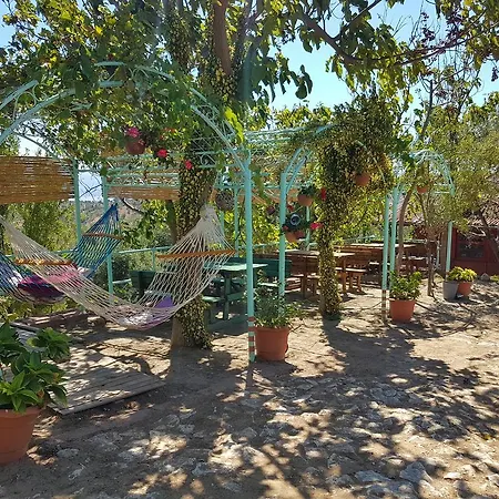 Kaz Daglari Albatross Dag Evleri 公寓式酒店