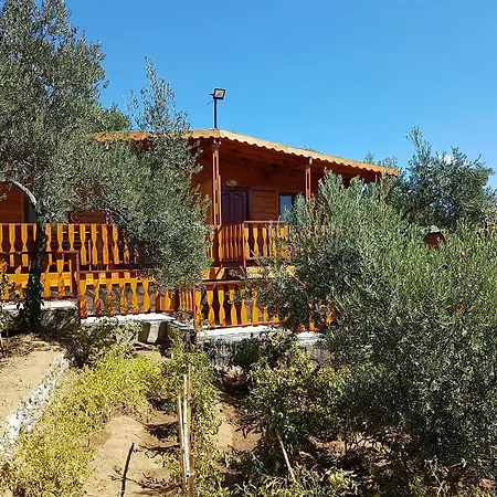 公寓式酒店 Kaz Daglari Albatross Dag Evleri