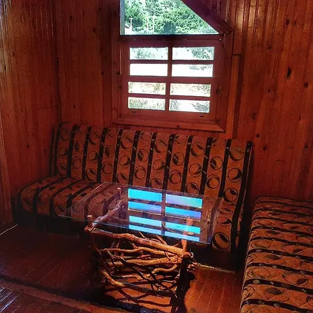 Kaz Daglari Albatross Dag Evleri 公寓式酒店