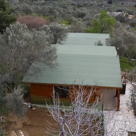 Kaz Daglari Albatross Dag Evleri 古雷