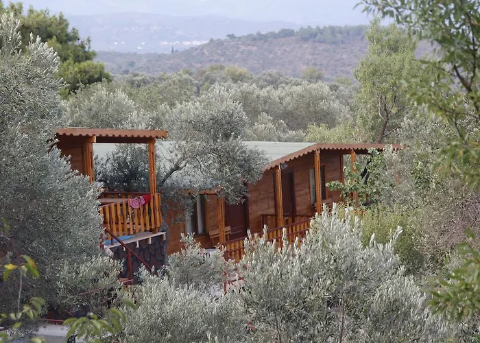 Aparthotel Kaz Daglari Albatross Dag Evleri