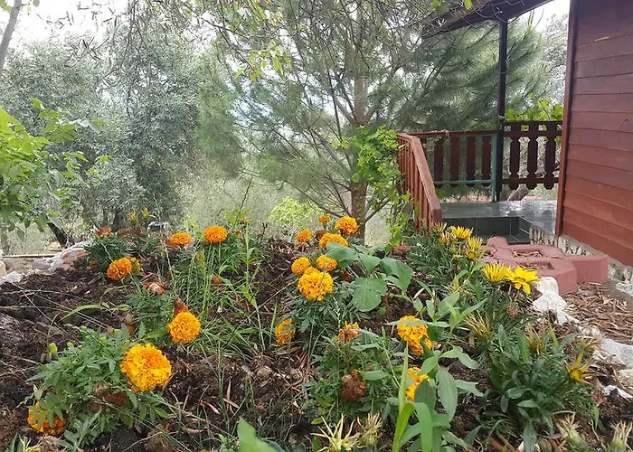 Kaz Daglari Albatross Dag Evleri Aparthotel Gure