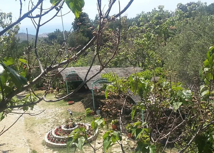 Kaz Daglari Albatross Dag Evleri Gure