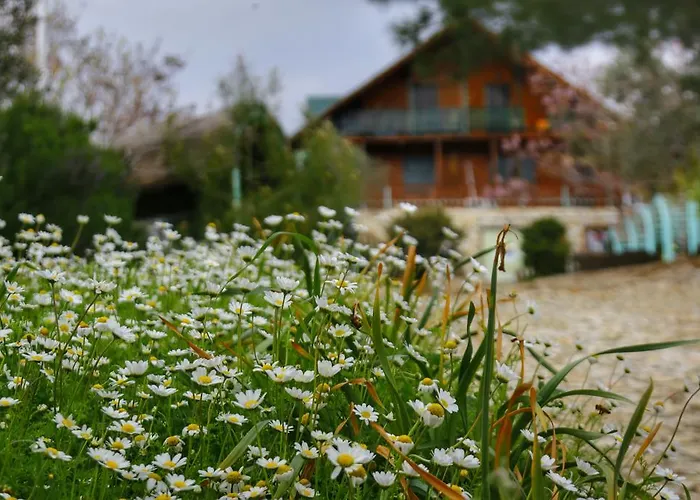 Kaz Daglari Albatross Dag Evleri Aparthotel *