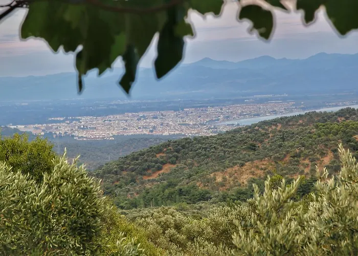 Kaz Daglari Albatross Dag Evleri Gure