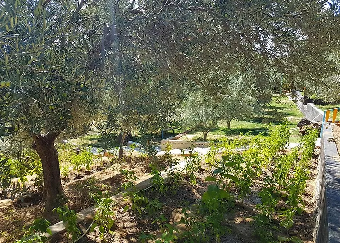 Aparthotel Kaz Daglari Albatross Dag Evleri Gure