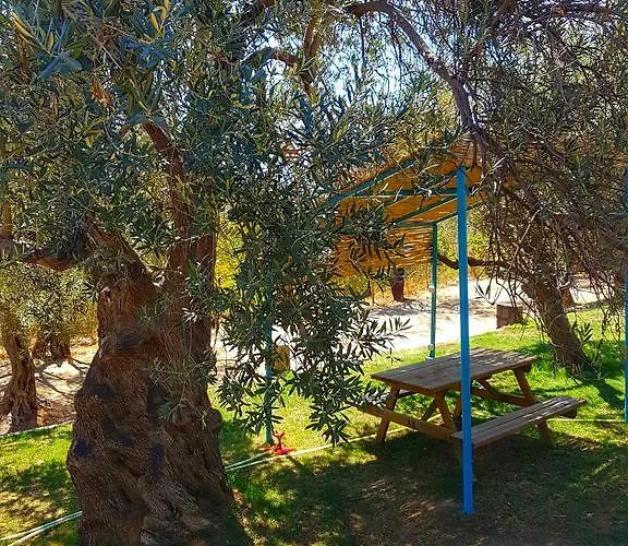 Kaz Daglari Albatross Dag Evleri Aparthotel Gure