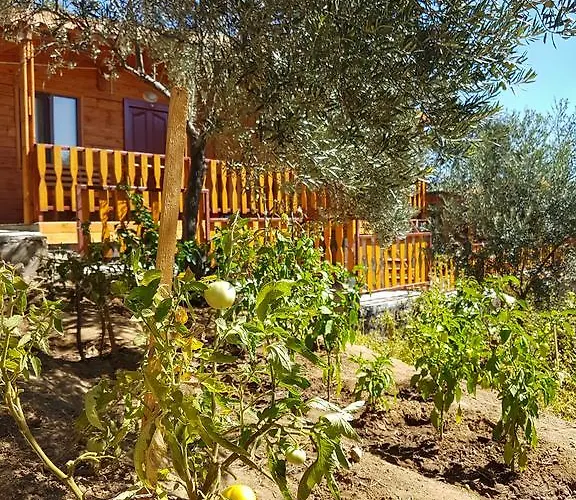 Aparthotel Kaz Daglari Albatross Dag Evleri *